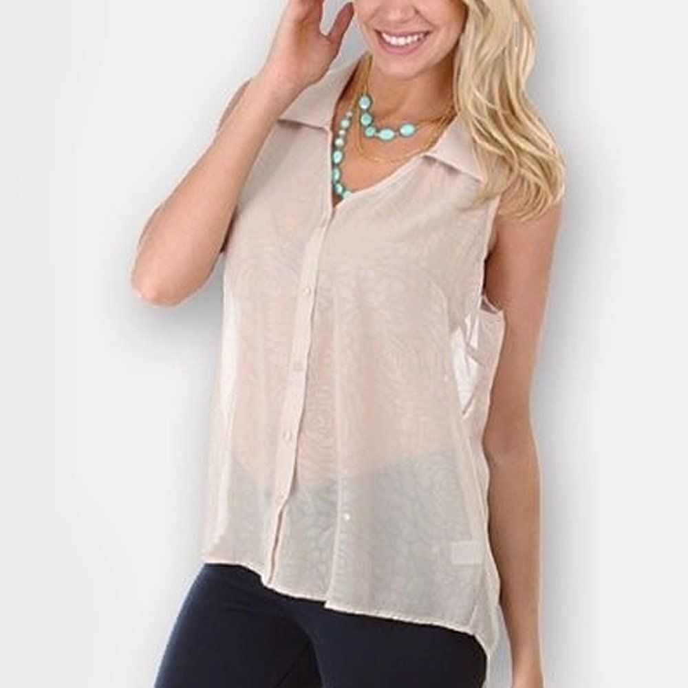 *Clearance* Taupe Rose Chiffon Blouse